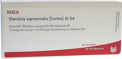 GLANDULA SUPRARENALIS cortex GL D 4 Ampullen