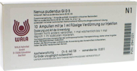 NERVUS PUDENDUS GL D 5 Ampullen