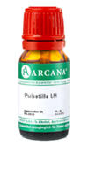 PULSATILLA LM 7 Dilution