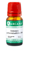 AMBROSIA ARTEMISIAEFOLIA LM 14 Dilution