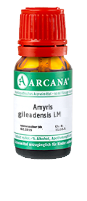 AMYRIS gileadensis LM 27 Dilution