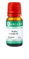 ANDIRA inermis LM 120 Dilution